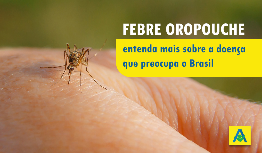 Febre Oropouche: entenda mais sobre a doença que preocupa o Brasil